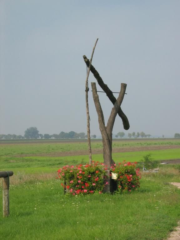 Gasthof Zur Linde Sankt Andra am Zicksee ภายนอก รูปภาพ
