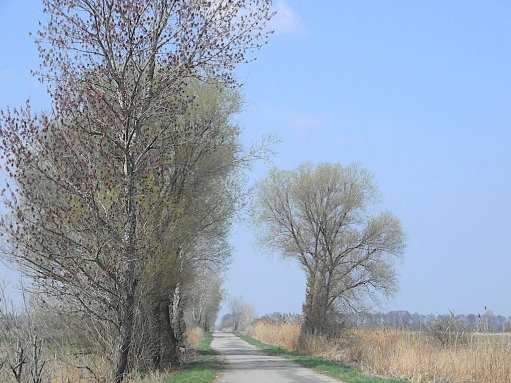 Gasthof Zur Linde Sankt Andra am Zicksee ภายนอก รูปภาพ